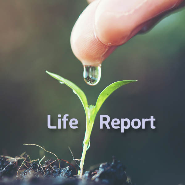 Life Report